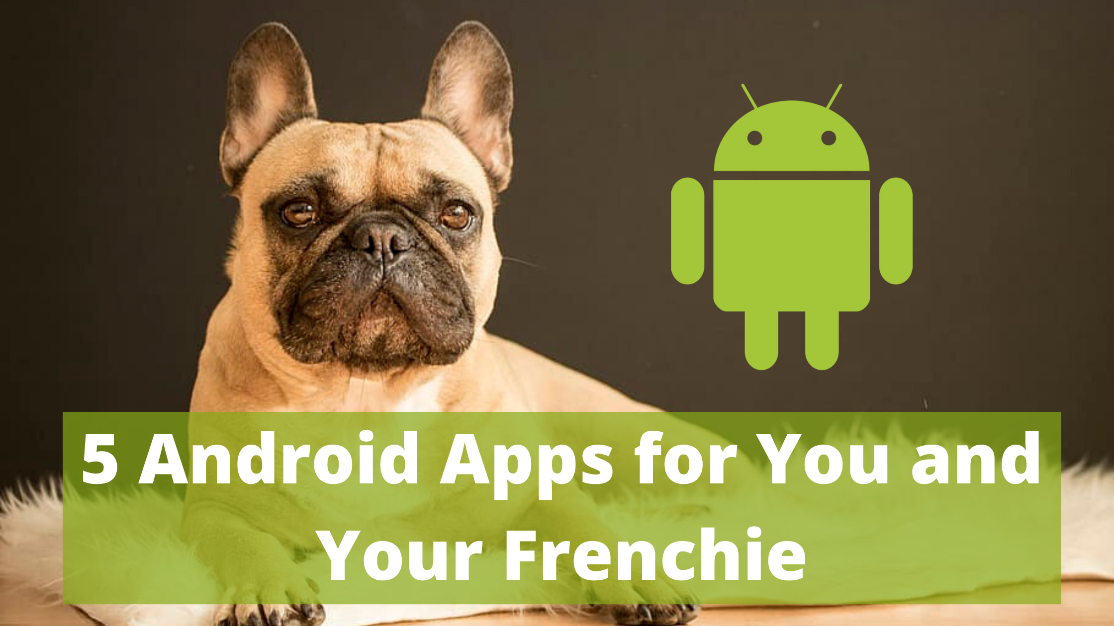 5 Android Apps for You and Your Frenchie